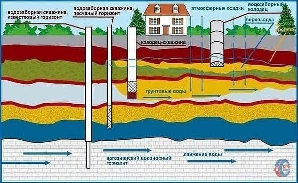 ДЕДОВСКИЙ СПОСОБ ПОИСКА ВОДЫ НА УЧАСТКЕ